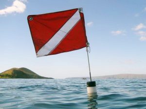 Diver down flag